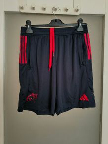 Munster Rugby Adidas training shorts