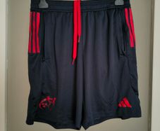 Munster Rugby Adidas training shorts