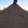Sand Image 9