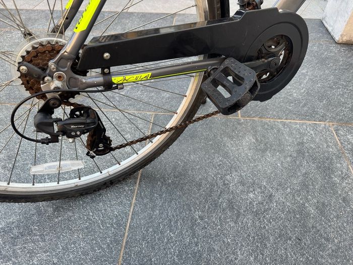 Ladies Bike - Vercelli