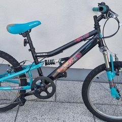 Girls Bicycle