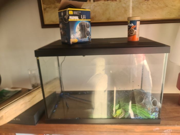 fish tank