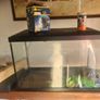 fish tank Image 2