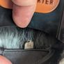 Mid real fur silver coat Image 7