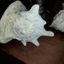 Pair Of Vintage Conch Shells Image 8