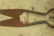 Sheep Shears