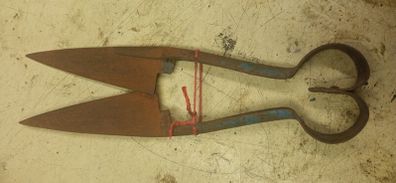 Sheep Shears