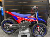 RFN Kids 3lectric bikes