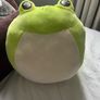 TY Teddy frog Image 3
