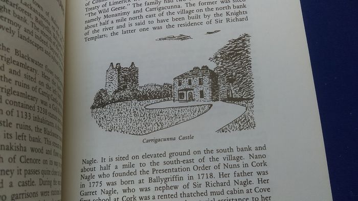 From The Kingdom To The Sea - The River Blackwater In History And Legend - Written And Illustrated By Liam Milner  - Cork 1976