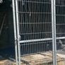 dog r Image 2