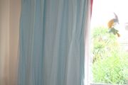 Mamas &amp; Papas Gingerbread Tab Top Lined Cotton Curtains