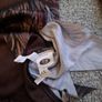 Viking costume Image 2