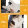 Cat Tree Tower for Large Adult Cats, 50 40cm Big Perch Bed,Spacious Condo House for Indoor Kitten, Sisal Scratching Post, Dark Gray Image 5