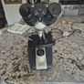 Brunel Electric Microscope Image 4