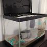 Small fish tank Image 5