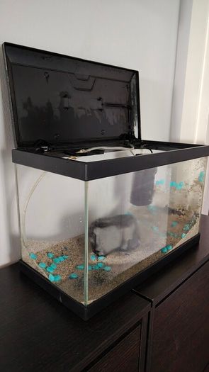 Small fish tank