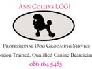 Dog grooming Blackrock Image 5