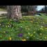 Total Garden Care
