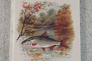 Fishing book