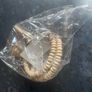 Set of 6 wicker place mats & matching napkin holders Image 2