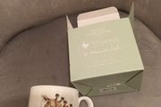 Royal Worchester china mug