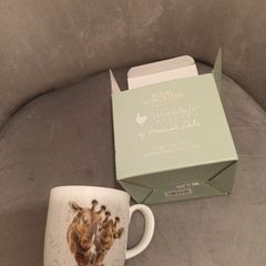 Royal Worchester china mug