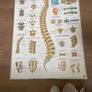 medical posters Image 4