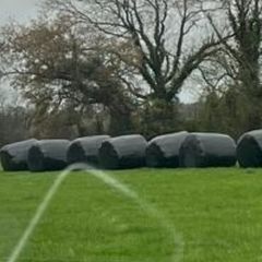 50 round bales of silage  in ballycahill  thurles