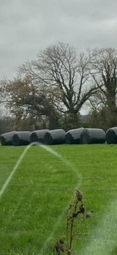 50 round bales of silage  in ballycahill  thurles