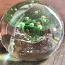 Limited Edition Caithness Vortex Glass Paperweight 1975 Image 6
