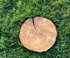 Wooden Centrepieces