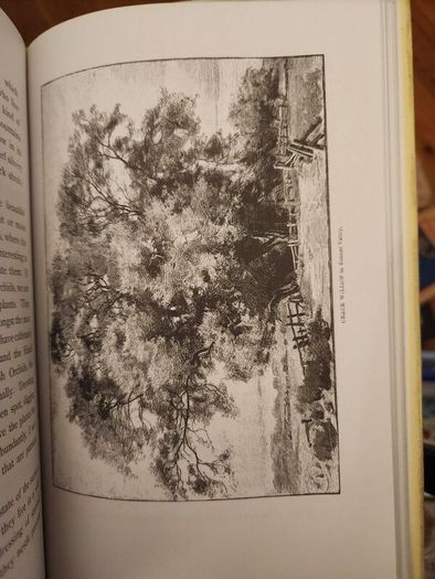 The Wild Garden. By William Robinson. Hardback With Dustjacket In Good Condition.