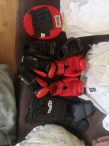 Gloves, legs pads, kick pad