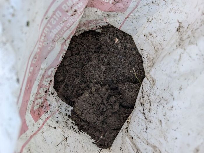 garden soil