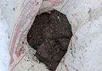 garden soil