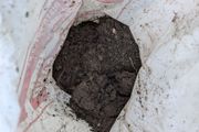garden soil