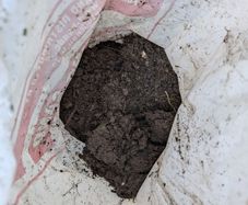 garden soil