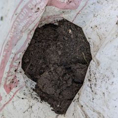 garden soil