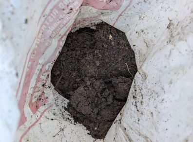 garden soil