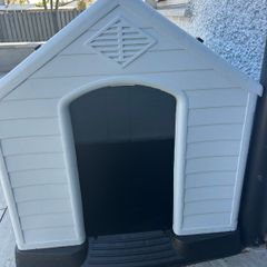 Dog box