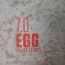 Bic Tahe 70 EGG surfboard including leash & fins Image 4