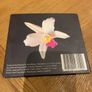 Janice Igoe - Songs of Sincerity Image 2