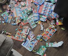 Panini World Cup 2026 Stickers