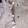 Baby coat Image 2