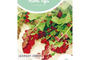 HT Strawberry Spinach seeds 0.1g Strawberry Blite | Sow in July