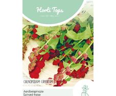 HT Strawberry Spinach seeds 0.1g Strawberry Blite | Sow in July