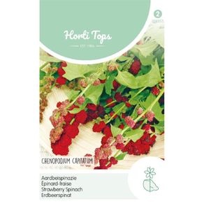 HT Strawberry Spinach seeds 0.1g Strawberry Blite | Sow in July