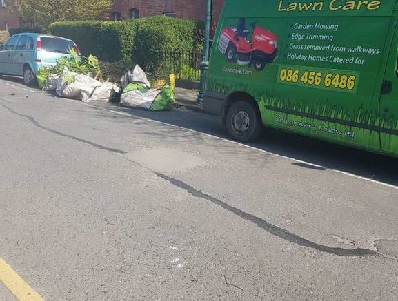 lawn care landscape and garden services