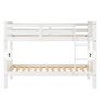 Bunk Bed Image 2